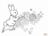 Rabbit Peter Easter Coloring Egg Pages Hunt Printable Supercoloring Illustration Potter Beatrix Drawing Hunting Paper sketch template