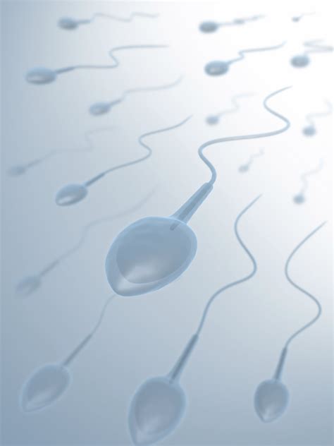 Sperm Abstraction Abstract Bokeh Life Sex Sexual Medical Dna