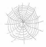 Web Coloring Spider Pages Kids Printable Websites Articuno Pokemon Drawing Print Bestcoloringpagesforkids Favorite Adult Collection Color Getdrawings Getcolorings sketch template