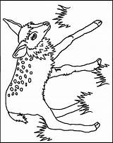 Coloring Fawn Pages Popular Library Clipart sketch template