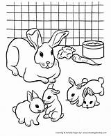 Coloring Pages Rabbit Pets Rabbits Cage Pet Fun Color Colouring Different Pre Honkingdonkey Varieties Recognize Educational Species Activity Students Help sketch template
