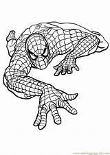 Coloring Spiderman Printable Pages sketch template