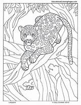 Coloring Leopard Pages Jungle Safari Animals Animal Adults Adult Printable Colouring Tropical Book Kids Drawing Trees Sheets Color Print Books sketch template