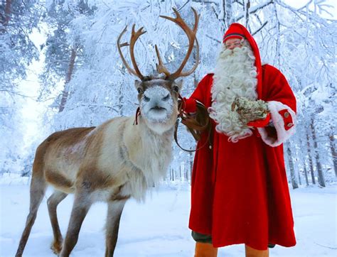 santa claus reindeer reindeer sleigh ride rovaniemi discovering finland