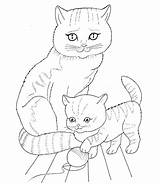 Kitten Cat Coloring Mother Pages Supercoloring Color Online sketch template