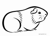 Pig Guinea Coloring Pages Drawings Printable Kids Color Adults Pigs Print Adult Book Friends Dog sketch template