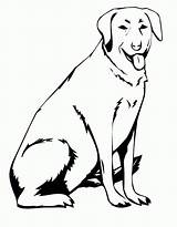 Coloring Labrador Lab Dog Pages Sitting Drawing Yellow Line Printable Chocolate Dogs Clipart Service Retriever Sketch Colouring Pet Color Book sketch template