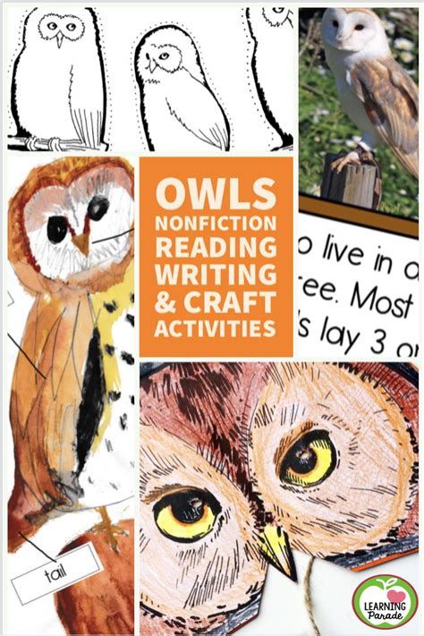 owls nonfiction unit reading writing  craft activities owl