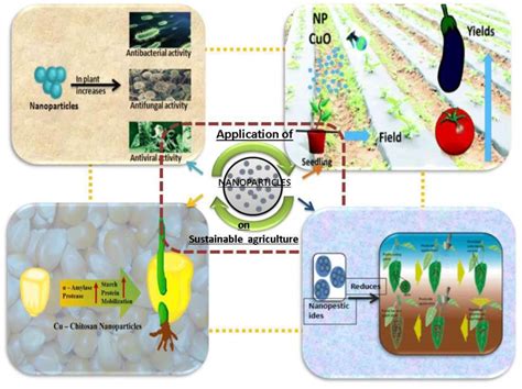 Agro Nanotechnology An Approach Towards Sustainable Agriculture Just