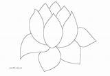 Coloring Pages Lilies Water sketch template
