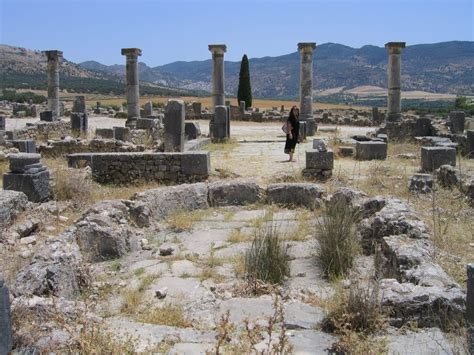 heritagedaily archaeology news
