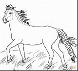 Coloring Stallion Pages Getcolorings Wild Awesome Dog sketch template