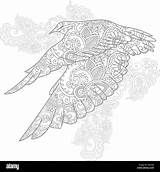 Flying Paisley sketch template
