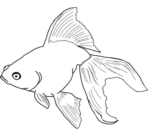 easy fish coloring pages  getdrawings