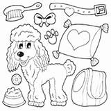 Coloring Dog Pages Poodle Accessories Breed Surfnetkids Gif Dogs Poodles Animals sketch template