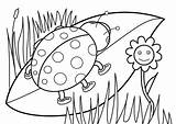 Spring Coloring Pages Print Printable Size Adults sketch template