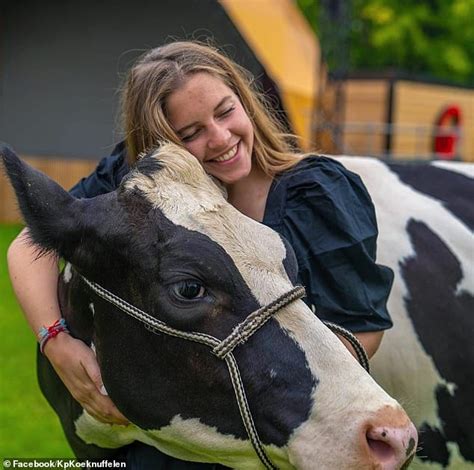 dutch wellness trend has people hugging cows to fight stress daily