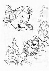 Mermaid Drawings Little Sebastian Coloring Flounder Pages Visit Ariel sketch template