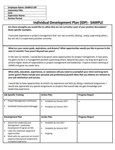 individual service plan template collection