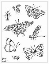 Insetos Insect Insects Topcoloringpages Bees Scholarschoice sketch template