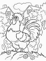 Coq Coloring Jardin Coloriages Rooster Greluche sketch template