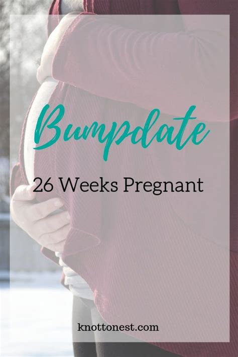 bumpdate 26 weeks pregnant the well planned mama pregnancy