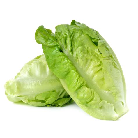 lettuce    hughes wholesaler