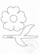 Template Stem Flower Coloring Leaves Pages Flowers Printable Leaf Colouring Templates Drawing Coloringpage Eu Color Print Petal Preschool Banner Crafts sketch template