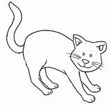 Colorat Pisica Desene Planse Animale Pisici Cuvinte Cheie Educative Domestice Desenhar Trafic sketch template