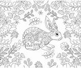 Coloring Adult Pages Forest Bunny Rabbit Coloriage Colorir Sheets Hase Malvorlage Malvorlagen Mandala Getcolorings Printable Erwachsene Mandalas Animal sketch template