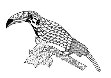toucan coloring page favecraftscom