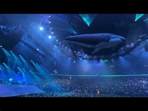 phish waves whale dolphins happy  year   msg nyc youtube phish