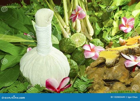 Ayurveda Indian Medicine Herbal Massage Stock Image Image Of