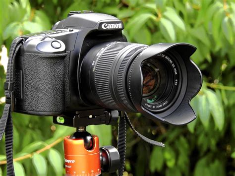 top  digital slr cameras digital slr camera  beginners dynamic tech media  blog aimed
