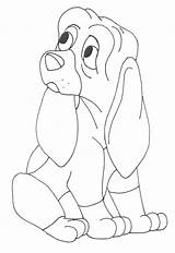 Hound Basset Coloring Getcolorings sketch template