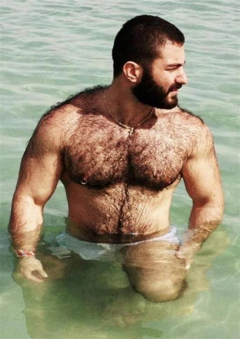hairy muscle bear men beards steel wet men hairy men hairy chest mature men