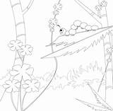 Caterpillar Coloring Pages Printable Kids sketch template