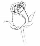 Coloring Rosebud Rose Bud Pages Flower Simple Drawings Drawing Designlooter Light Template Fragrant Really Sketch 5kb sketch template