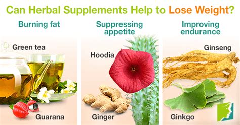 can herbal supplements help to lose weight