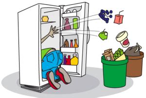 refrigerator cleaning services adelaide holacleaning