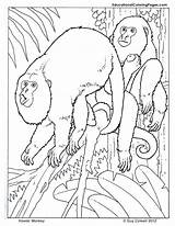 Coloring Howler Monkey Pages Primates Book Printable Color Drawings Para Animal Kids Sheets Getcolorings Educationalcoloringpages sketch template