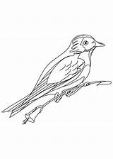 Bluebird Include sketch template