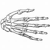 Skeleton Tattoo Polyvore sketch template
