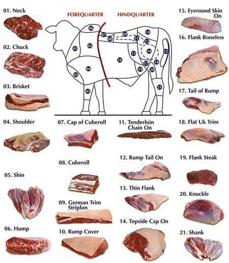 images  cuts  meat  pinterest pork meat charts  retail