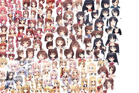 Anime Girl Collection Collection Opensea