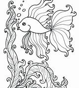 Fish Saltwater Getdrawings Drawing Coloring Pages sketch template