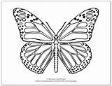 Butterfly Butterflies Monarch Onelittleproject sketch template