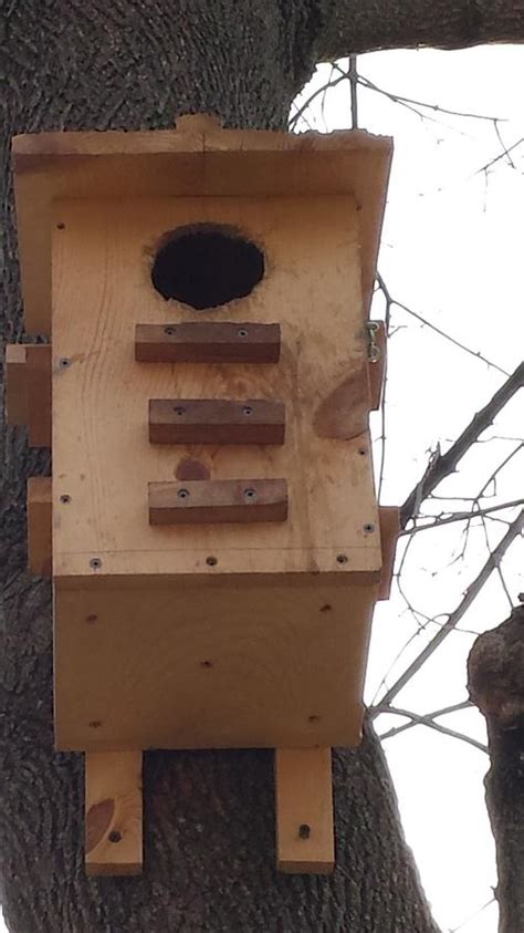 squirrel nesting box woodworking project  roughframe