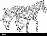 Zentangle Pferde Pferd Ornato Cavallo Esecuzione Colorazione Ispirato Fiori Foglie Isolati Ornate Friesen sketch template