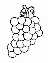Grapes Weintraube Hrana Bojanke Uva Fruits Malvorlage Decu Malvorlagen Slike sketch template
